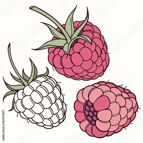 Fresh raspberries isolated on a clean white background