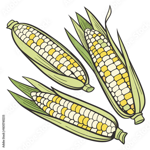 Fresh sweet corn illustration on a clean white background