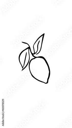 limón silueta