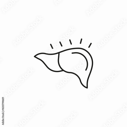 liver pain symptoms icon sign vector