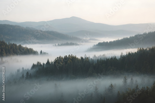 Wallpaper Mural Misty Mountain Landscape at Sunrise Torontodigital.ca