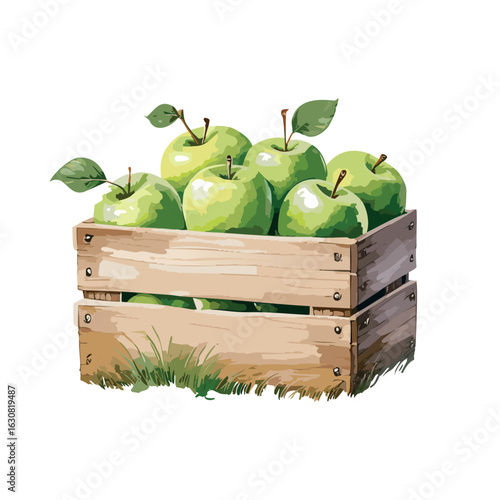 Watercolor crate with green apples on the grass, vector illustration isolated on white background,