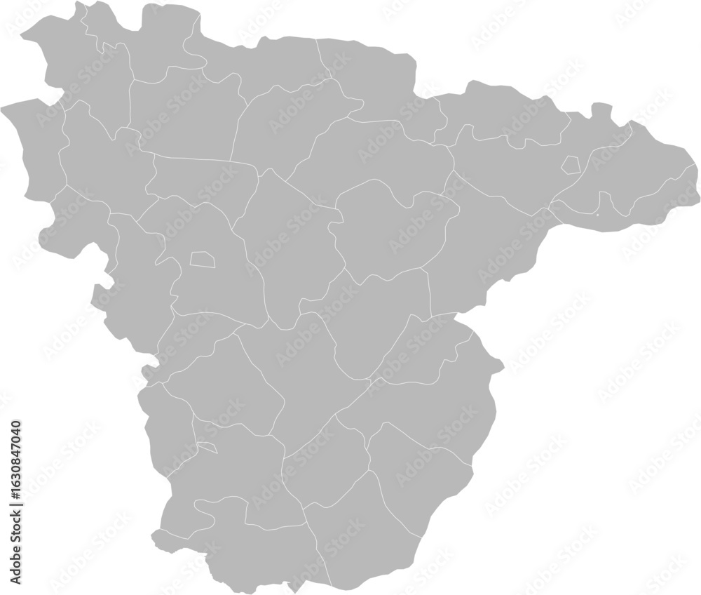 Fototapeta premium Voronezh Oblast, Russia – administrative vector map with district boundaries (Web Mercator projection, PPT-compatible & fully editable)