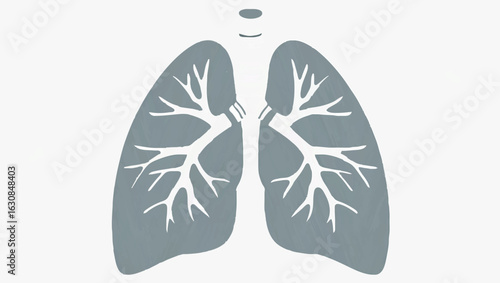 Human lungs illustration for respiratory health awareness

