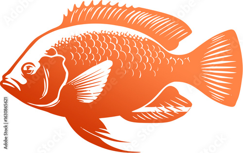 background ilustration tilapia fish