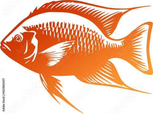 background ilustration tilapia fish
