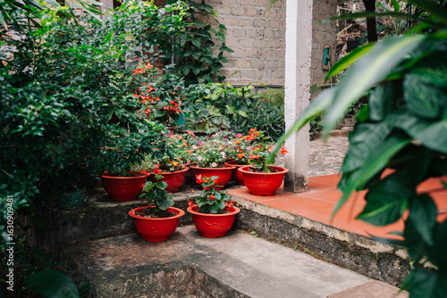 A colorful courtyard with red flower pots and lush greenery. Steps lead to a tiled area, creating a charming outdoor space.
