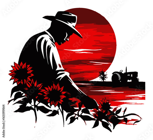 Farmer Tending Sunflowers Against Dramatic Sunset with Tractor in Background