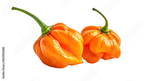 Three different colored and shaped peppers isolated on white