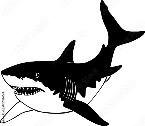 Black shark image with white lines. Sharks are predators of the sea because sharks are depicted as powerful and scary but mysterious. Use them in your design