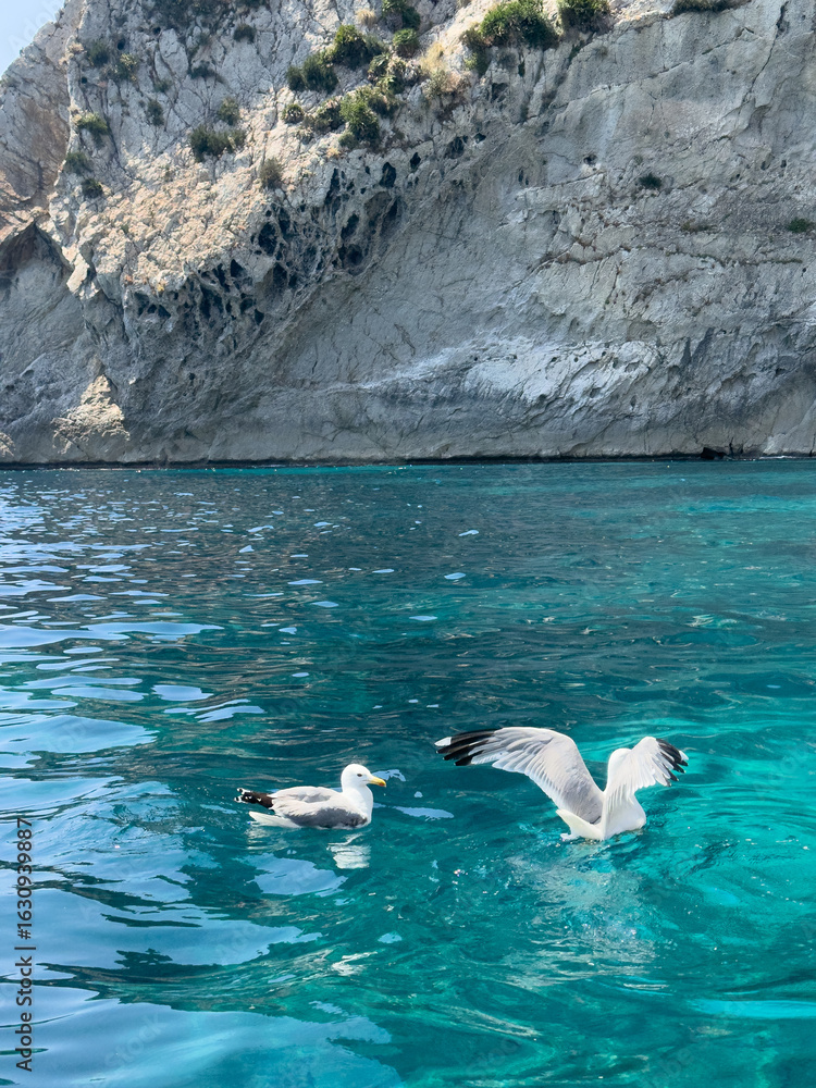 Naklejka premium Mediterranean Landscapes, Coastal Beauty of Mallorca, Spain