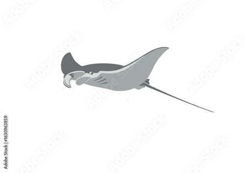 Monochrome illustration of a giant manta ray swimming gracefully. Isolated vector graphic of oceanic marine wildlife on a white background.