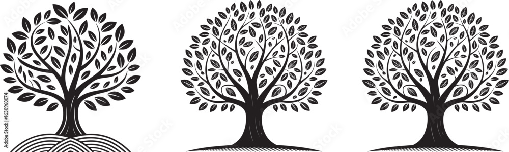 Obraz premium Stylized trees with detailed leaves and roots black and white