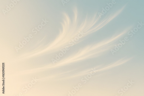 Wispy Cirrus Clouds in a Soft Sky.