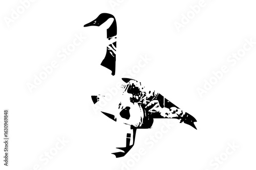 Vector Stylized waterfowl depicts a goose in a .