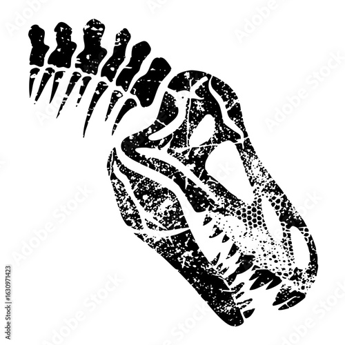 Vector Detailed dinosaur skull with sharp teeth and spine.