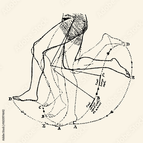 Vintage Illustration of Human Gait Analysis.