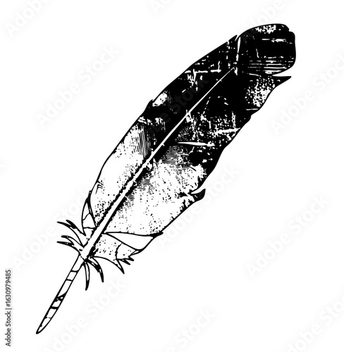 Vector Detailed black feather showcases intricate quill and vane textures.