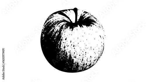 Vector Detailed monochrome with textured surface.