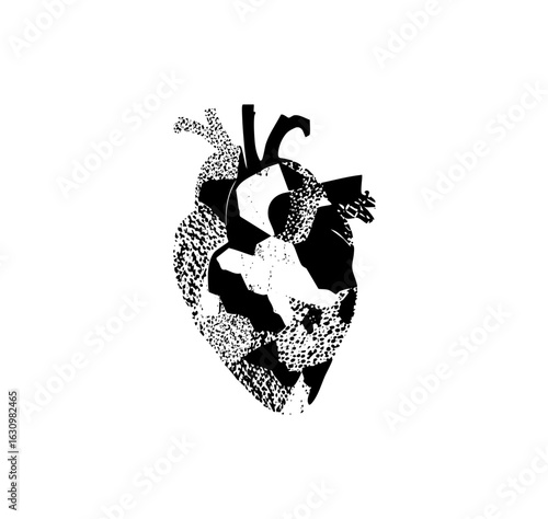 Vector Detailed anatomical heart with speckled texture.