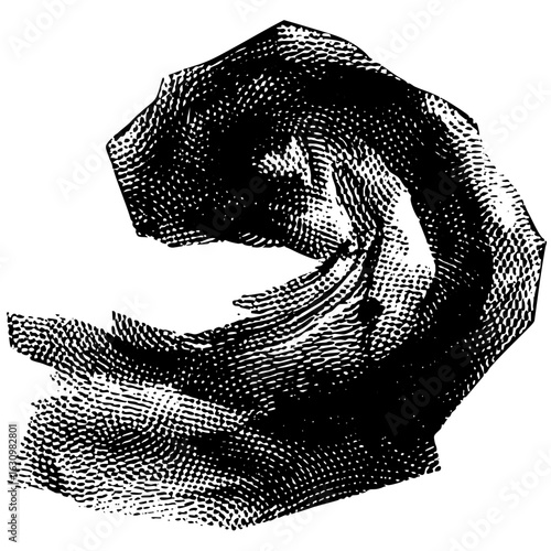 Vector Detailed of a human hand forming a grasping gesture.