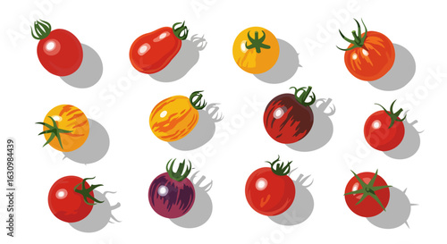 colorful heirloom tomatoes vibrant illustration for farmtotable recipes