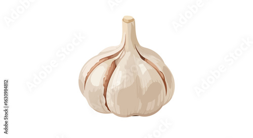 fresh garlic bulb perfect for culinary and health recipes