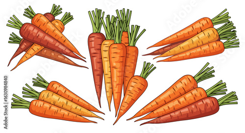 fresh carrots vibrant harvest for healthy recipes nutrition