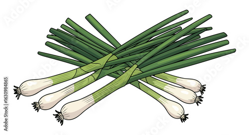 fresh green onions vibrant vector illustration for culinary recipes
