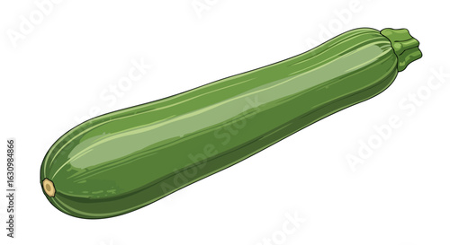 fresh green zucchini perfect for healthy recipes and menus