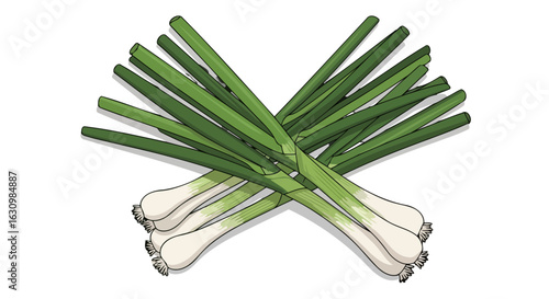 fresh green onions vibrant illustration for culinary websites