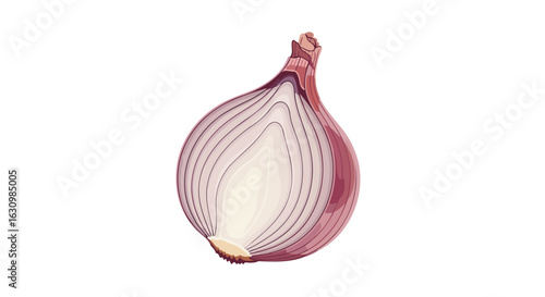 halved red onion fresh vibrant vector illustration for culinary designs