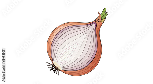 halved red onion vibrant vector illustration for culinary designs