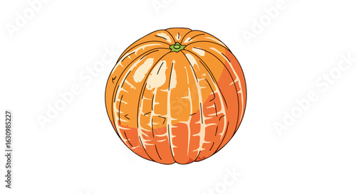 juicy orange illustration perfect for health food and drink designs