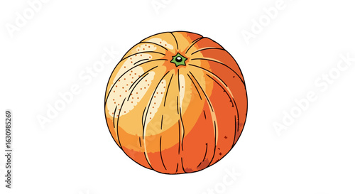 juicy orange illustration perfect for healthy eating blogs and recipes