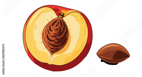 juicy peach halved vibrant illustration for summer recipes