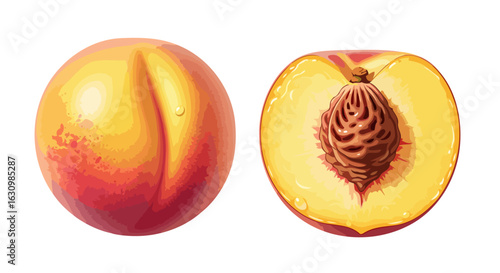juicy peach halves perfect for summer recipes and fresh food branding