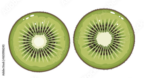 two perfect kiwi fruit slices fresh vibrant vector illustration