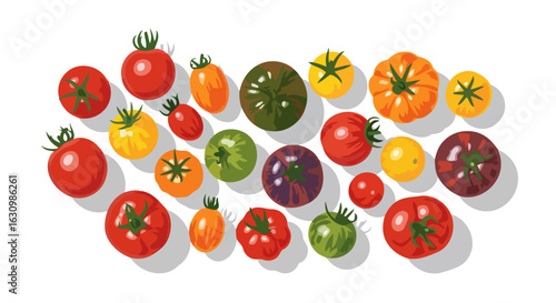 vibrant heirloom tomatoes fresh colorful harvest for culinary branding