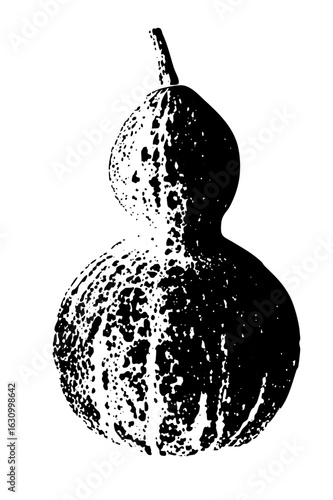 Vector Spotted gourd features a unique bulbous shape.