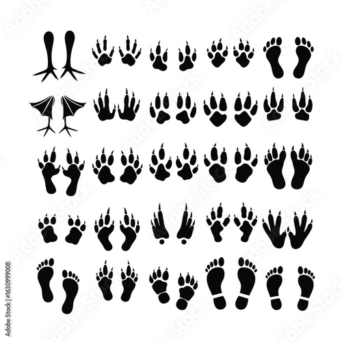 Vector art of collection of animal and human footprints and paw prints