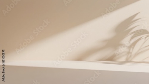 Shadow of a plant cast on a white wall and ledge, creating an abstract pattern with soft light.