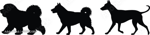 Silhouette of three dogs walking, various dog breeds, black dog figures, canine pets, animal walking side view, isolated white background