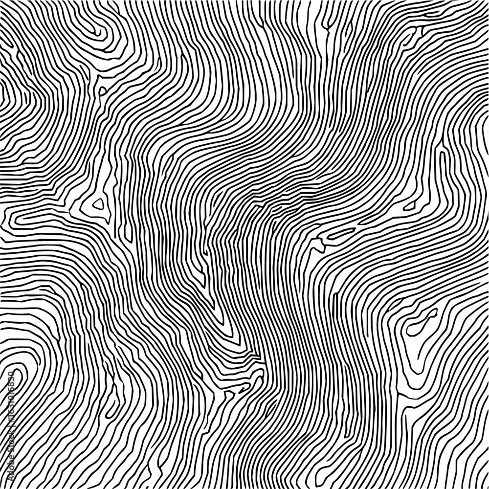 custom made wallpaper toronto digitalAbstract topographic lines art representing a complex landscape and elevation changes in detail