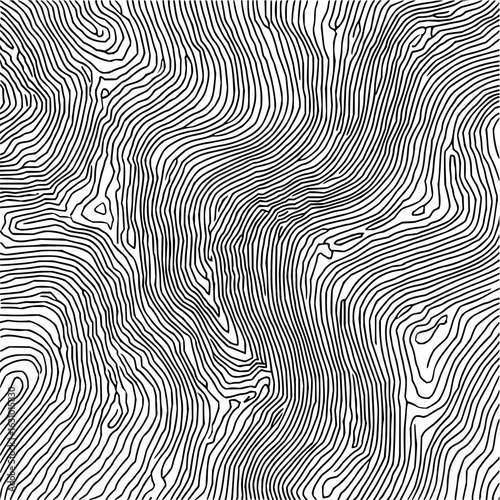 Wallpaper Mural Abstract topographic lines art representing a complex landscape and elevation changes in detail Torontodigital.ca