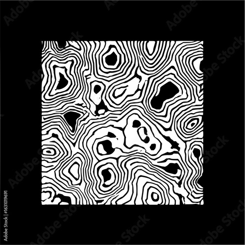 Abstract topographic map in black and white showing contour lines and elevation changes perfectly
