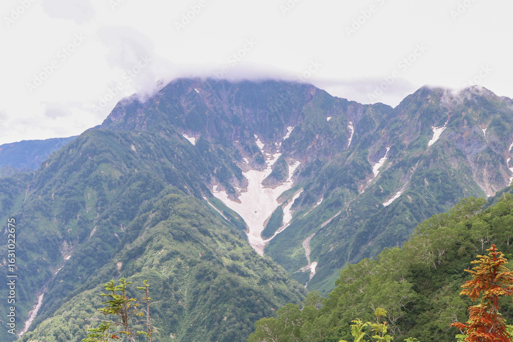 Naklejka premium 白馬・小遠見山の風景。鹿島槍ヶ岳 カクネ里雪渓。