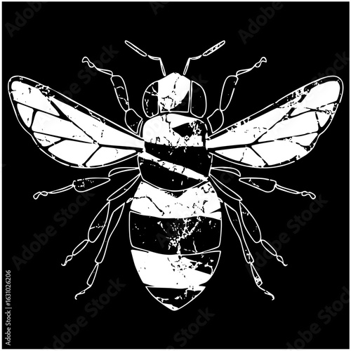 Vector Detailed vector of a bee with striped abdomen and wings.