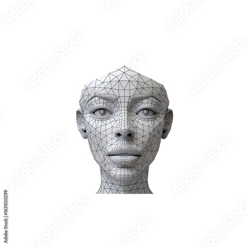 human head illustration