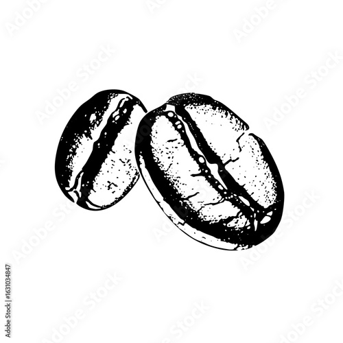 Vector Detailed of two coffee beans in monochrome style.